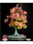 Ithal Katsura Bonsai Ağacı Tohumu Ekim Seti 2
