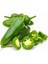 10 Adet Kırmızı Jalapeno Biber Tohumu 3