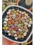 Karışık Lithops Taş Çiçek Tohumu / 10 Adet Tohum 1