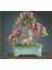 Bodur Pembe Gül Bonzai Ağacı Tohumu 5 Adet Tohum Bonsai Ağacı Tohumu 2