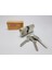 164 Gnc Standart Silindir 100 mm 5