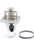 Chevrolet Aveo 1.4 16V Motor Termostat Bsg Marka 2