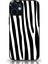 Apple iPhone 12 Mini Kapak Kamera Korumalı Cam Kılıf - Siyah Zebra Desenli 1