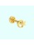 Altın Ayyıldız Tragus Piercing 14 Ayar 1