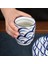 Japon Tarzı Elle Çizilmiş Sofra Seramik Çay Fincanı Plakalı Ev Restoranı ile Camlı Porselen Kahve Su Bardağı Tepsisi | Teacup tabak Setleri (Yurt Dışından) 2