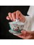Jingdezhen Gaiwan Renkli Şube Kuş Tureen Kapaklı Seramik Kupası Kapak Tabağı Seti Çay Kase Drinkware Dekor Zanaat Hediye Teaset | Çay Tureen (Yurt Dışından) 2