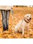 Yumuşak Köpek Pet Tasma Halat Naylon Küçük Orta Büyük Köpekler Tasmalar Uzun Ağır Köpekler Için Yürüyüş Yürüyüş Kurşun Halklar | Tasmalar | Tasmalar (Yurt Dışından) 4