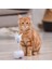 Akıllı Interaktif Pet Köpek Kedi Oyuncak Led Işık Usb Şarj Glow Tumbler Pet 360 Derece Kendinden Dönen Top Oyuncak Pet Kedi Malzemeleri Için | Kedi Oyuncakları (Mavi) (Yurt Dışından) 3