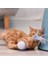 Akıllı Interaktif Pet Köpek Kedi Oyuncak Led Işık Usb Şarj Glow Tumbler Pet 360 Derece Kendinden Dönen Top Oyuncak Pet Kedi Malzemeleri Için | Kedi Oyuncakları (Mavi) (Yurt Dışından) 4