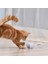 Akıllı Interaktif Pet Köpek Kedi Oyuncak Led Işık Usb Şarj Glow Tumbler Pet 360 Derece Kendinden Dönen Top Oyuncak Pet Kedi Malzemeleri Için | Kedi Oyuncakları (Mavi) (Yurt Dışından) 5