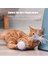 Kedi Tekerlek Oyuncak Gatos Oyuncaklar Juguetes Para Jouet Sohbet Pet Interaktif Kitten Pour Oyunu Elektrikli Led Tüy Sopa Düzensiz Döner | Kedi Oyuncakları (Gri) (Yurt Dışından) 4