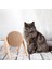 Ahşap Kedi Scratchers Top Oyuncaklar Sisal Board Scratcher Kedi Taşlama Paws Pençeleri Bakım Oyuncak Sandalye Kanepe Koruma Ürün | Mobilya Ve Çizikler (Yurt Dışından) 3