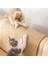 Sisal Yastık Anti-Scratch Kanepe Çizilmeye Karşı Korur Ve Kedi Malzemeleri Düşmez (Yurt Dışından) 3