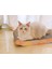 Kedi Scratcher Dikey Çok Fonksiyonlu Kedi Scratcher Oluklu Kedi Çöp Oyuncak (Yurt Dışından) 4