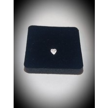 Begonia Accessories 925 Ayar Gümüş Zirkon Taşlı Kalp Hızma