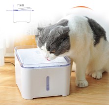 Three Beans Pet Kedi Su Çeşmesi 2l Otomatik Köpek Içme Dağıtıcı Elektrikli LED Aydınlatma 7 Derece Eğimli Tasarım Yavru Kediler Için Boyun Bakımı - (Yurt Dışından)
