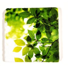 Şeker Portakalım Dekoratif Figürlü Doğal Taş Gider Kapağı Banyo Süsü Tekli 10 x 10 cm