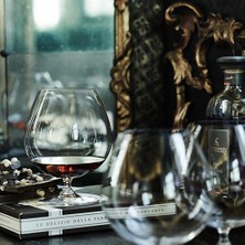 Rıedel Vınum Brandy