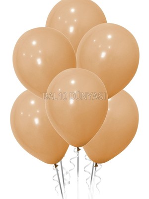 Ten Rengi Pastel Balon 10 Adet