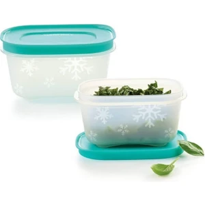  Tupperware Alaska 170 ml Buzluk Dondurucu Saklama Kabı 2'li Hsgl