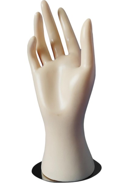 Manken El Modeli Mücevherat Yüzük Bilezik Ekran Standı Normal Cilt (Yurt Dışından)