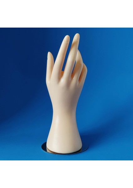 Manken El Modeli Mücevherat Yüzük Bilezik Ekran Standı Normal Cilt (Yurt Dışından)