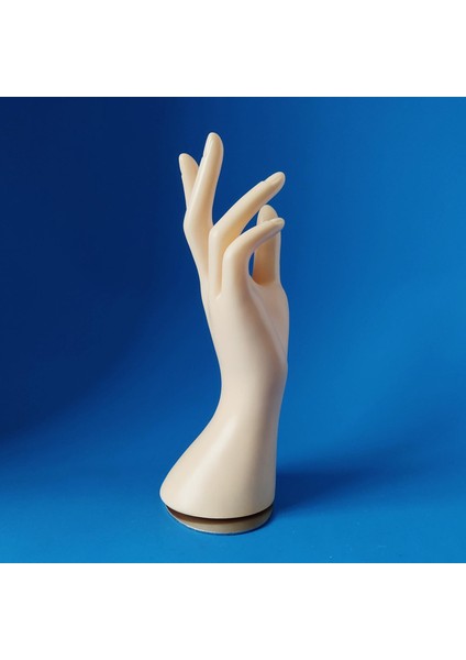 Manken El Modeli Mücevherat Yüzük Bilezik Ekran Standı Normal Cilt (Yurt Dışından)