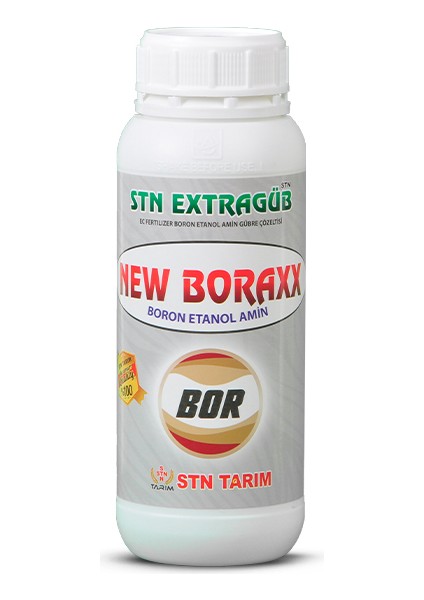 Extragüb New Boraxx