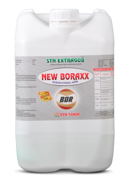 Extragüb New Boraxx
