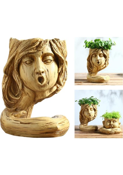 Insan Kafası Reçine Vazo Kurutulmuş Çiçek Bitkileri Pot Çiçek Kadın 15X24 cm modelleri
