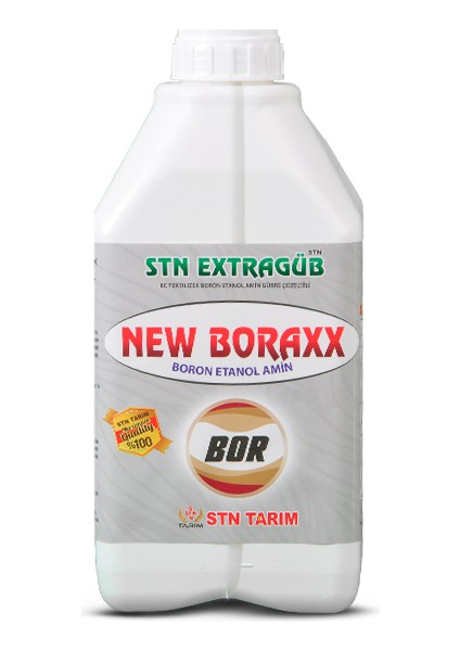 Extragüb New Boraxx