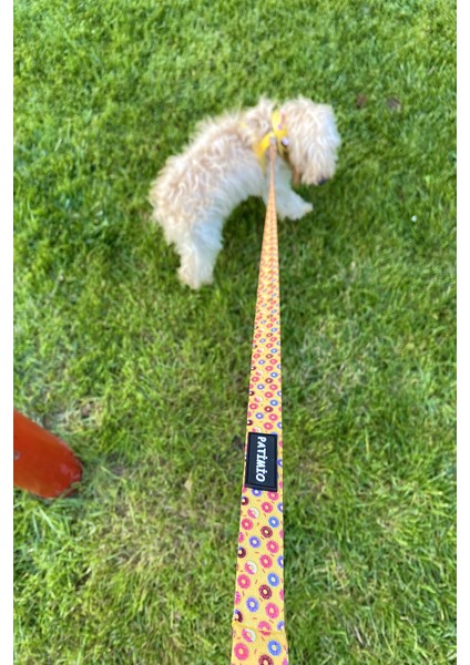 Donuts Köpek Boyun ve Gezdirme Tasma Seti