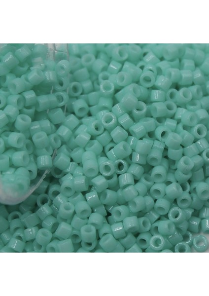 Boncuk Delica 11-00 1,6 mm 3 gr No: 264