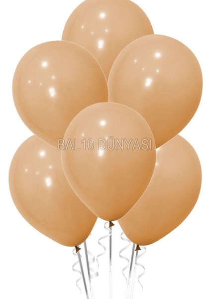 Ten Rengi Pastel Balon 20 Adet