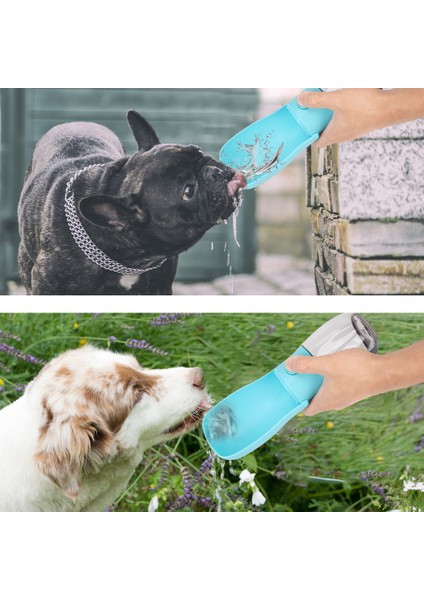 Katlanabilir Kabak Şişe Kase Drinker 280 ml / 10 Oz Açık Yürüyüş Seyahat Içecek Kupası Karbon Filtre Pet Su Dağıtıcı Besleyici | Köpek Besleme - (Yurt Dışından) fiyatları