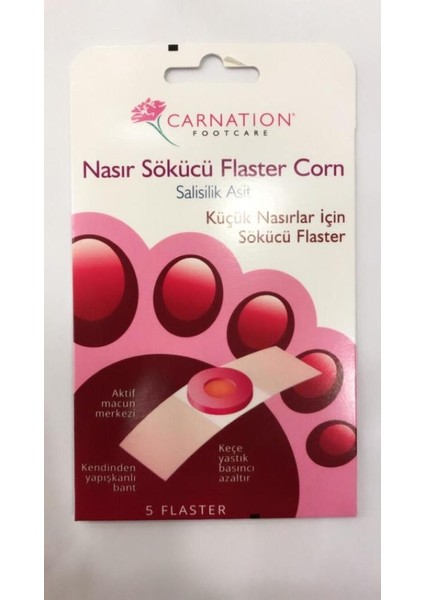 Carnation Büyük nasıırlar Için nasıır
