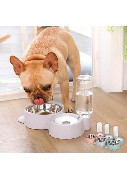 Pet Çift Kaseler Otomatik Gıda Besleyici Su Çeşmesi Köpek Cat Dağıtıcı Için Islak Ağız Yok | Köpek Beslemesi - (Yurt Dışından) fiyatları