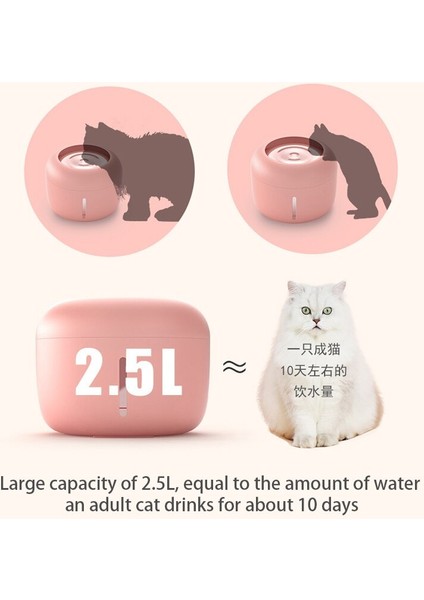 2.5l Otomatik Kedi Su Çeşmesi Köpek Su Dağıtıcı Pet Köpek Kediler 2 Filtre Kutusu ile Otomatik Dolaşan Su Dağıtıcısı | Kedi Besleme ve sulama Malzemeleri - (Yurt Dışından) fırsatları