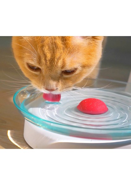 Kedi Otomatik Su Dağıtıcısı Tepkilmiş Kedi Su Kasesi Dilsiz Anti Rollover Kedi Malzemeleri | Kedi Besleme ve sulama Malzemeleri - (Yurt Dışından) modelleri