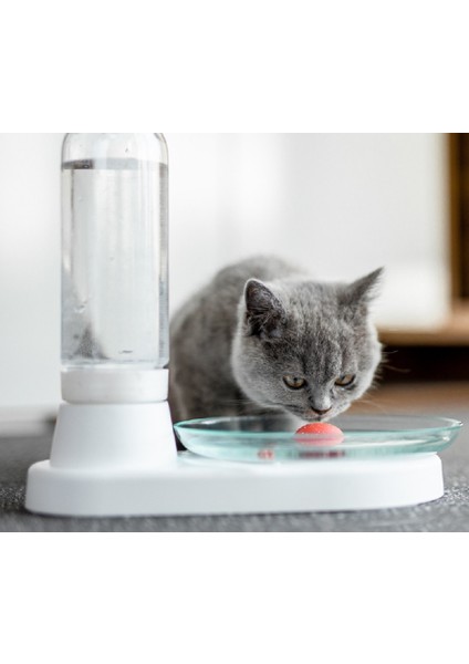 Kedi Otomatik Su Dağıtıcısı Tepkilmiş Kedi Su Kasesi Dilsiz Anti Rollover Kedi Malzemeleri | Kedi Besleme ve sulama Malzemeleri - (Yurt Dışından) fırsatları