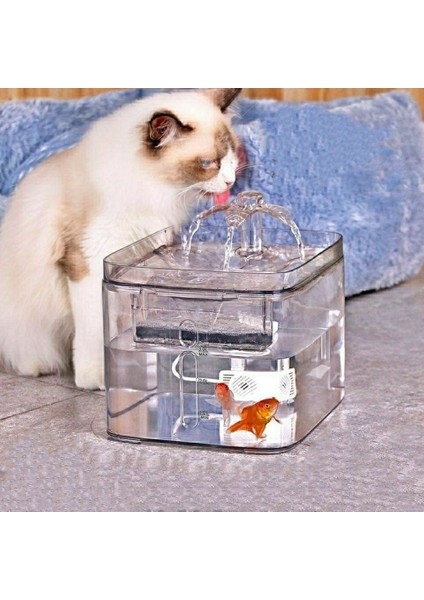 3l Şeffaf Kare Kedi Su Çeşmesi Otomatik Dolaşan Su Dağıtıcı Yavru Köpek Köpek Köpek Pet Içme Ürün | Kedi Besleme ve sulama Malzemeleri - (Yurt Dışından) fiyatları