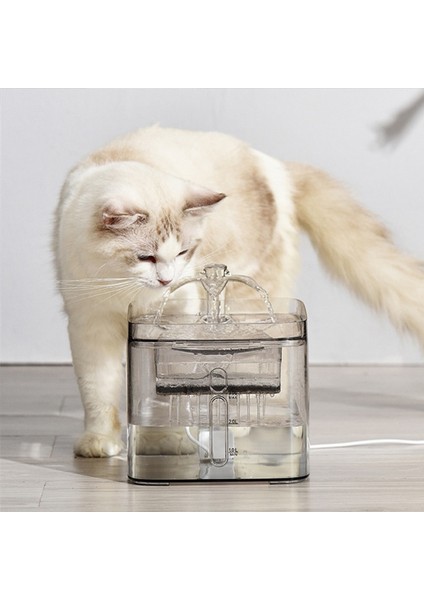 3l Şeffaf Kare Kedi Su Çeşmesi Otomatik Dolaşan Su Dağıtıcı Yavru Köpek Köpek Köpek Pet Içme Ürün | Kedi Besleme ve sulama Malzemeleri - (Yurt Dışından) modelleri