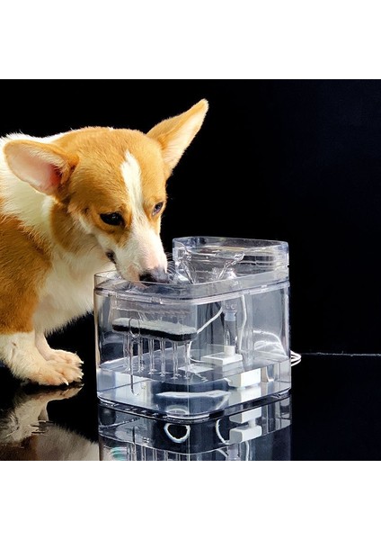 3l Şeffaf Kare Kedi Su Çeşmesi Otomatik Dolaşan Su Dağıtıcı Yavru Köpek Köpek Köpek Pet Içme Ürün | Kedi Besleme ve sulama Malzemeleri - (Yurt Dışından) fırsatları