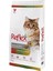 Multicolor Kedi Maması 15 kg 1