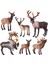 6 Pvc Elk Sika Geyik Oyuncaklar El Sanatları Orman Figürinler Bahçe Ev Dekor(Yurt Dışından) 1