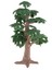 Antik Cypress Cycad Ağacı Mikro Peyzaj Manzara Evi Bahçe Yeşil Düzeni 24 cm (Yurt Dışından) 1