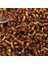 Boncuk Delica 11-00 1,6 mm 3 gr No: 115 5