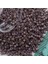 Boncuk Delica 11-00 1,6 mm 3 gr No: 54 1
