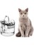 1.8l Elektriklitansparent Kedi Su Çeşmesi Drinker Kediler Için Su Dağıtıcı Kedi Yavru Köpek Köpek Yavru Pet Içme Kase Su Besleyici - (Yurt Dışından) 1