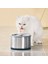 Paslanmaz Çelik Kedi Su Besleyicileri Çeşmesi 2.5l USB Pet Köpek Içme Kase Otomatik Dağıtıcı Süper Sessiz Drinker Besleyici Filtresi - (Yurt Dışından) 2